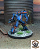 Aquilenian Concordat Kite CAM